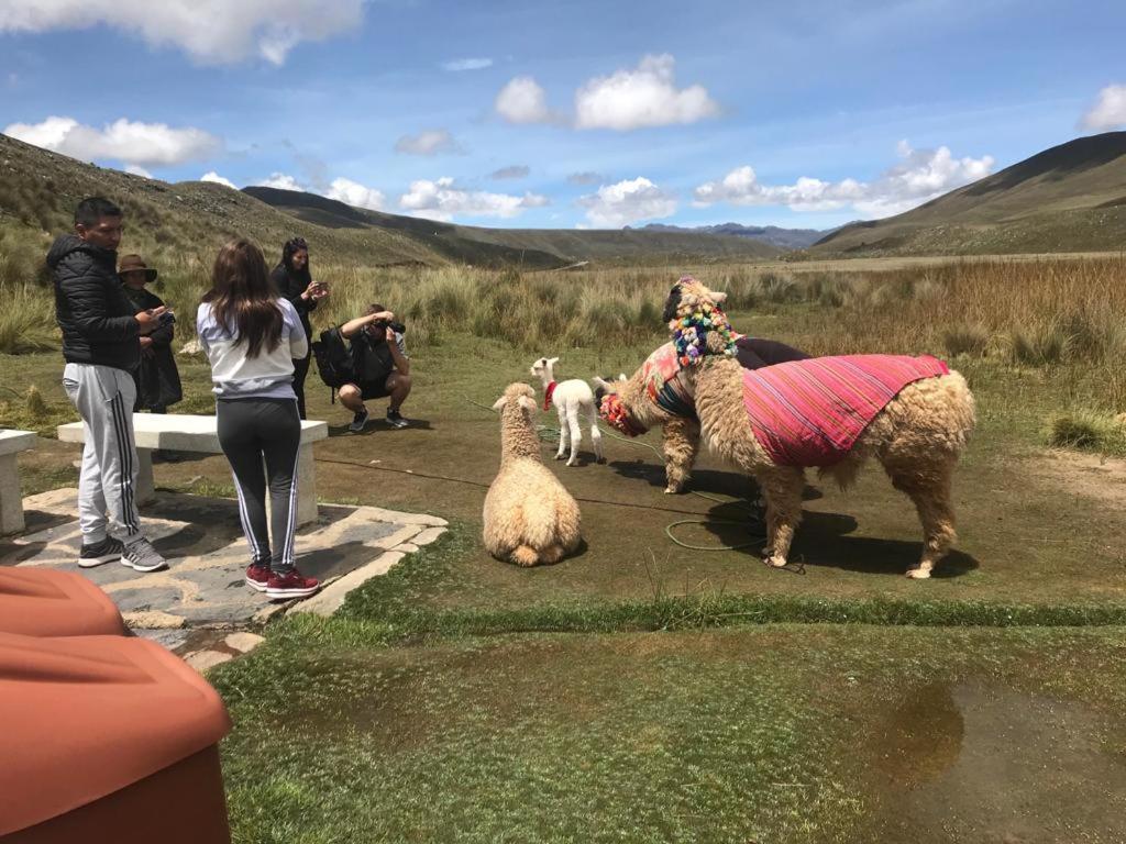 Amazing Huaraz Bed & Breakfast Екстериор снимка