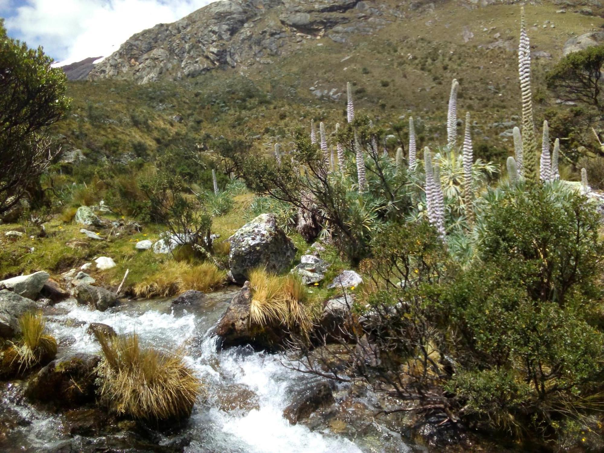 Amazing Huaraz Bed & Breakfast Екстериор снимка